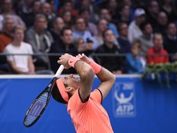 Del Potro avanzó a las semifinales del ATP de Estocolmo tras superar a Ivo Karlovic. Del Potro avanzó a las semifinales del ATP de Estocolmo tras superar a Ivo Karlovic.