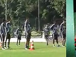 Palmeiras278