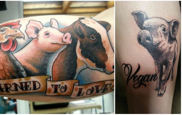 Golpe a los veganos