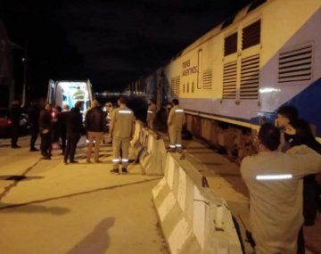 Un tren que viajaba hacia Constitución atropelló y mató a un hombre en Mar del Plata