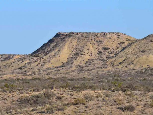 General Roca: rituales satánicos con animales muertos conmocionan a la región