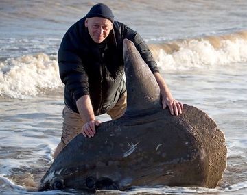 Un misterio que hace agua