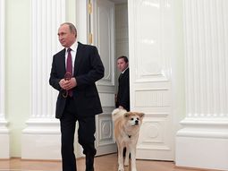 El perro de Vladimir Putin El perro de Vladimir Putin