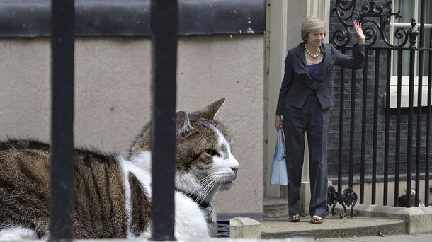 ¿Por qué David Cameron se va de Downing Street pero su gato se queda?