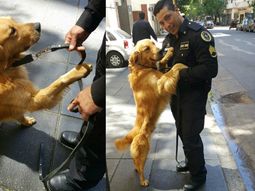 Perra experta en detectar explosivos en Casa Rosada. Perra experta en detectar explosivos en Casa Rosada.