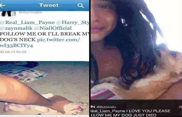 Mató a su perro porque One Direction no la siguió en Twitter
