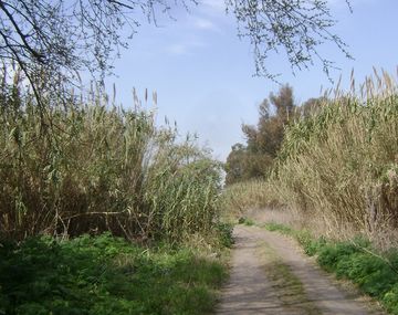 Misterio por el cadáver hallado durante la búsqueda de Anahí Benítez