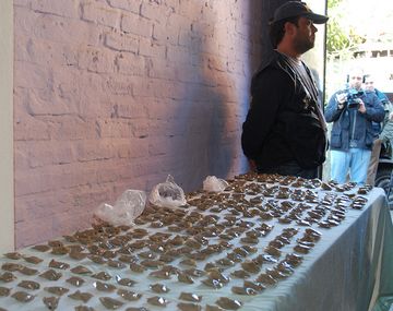 Alertan por una letal mutación del paco realizada por narcos