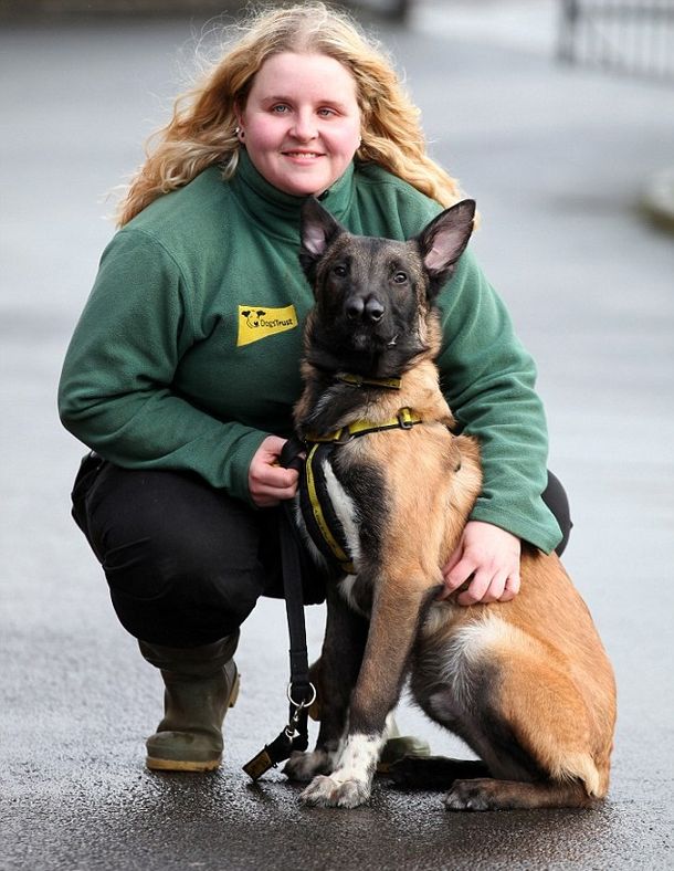 La historia del perro huérfano con dos narices