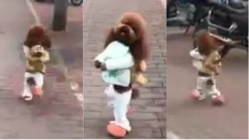 Maltrato animal en el video del caniche en dos patas Maltrato animal en el video del caniche en dos patas