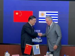 El ministro Fernando Mattos no descarta avanzar en el TLC con China. El ministro Fernando Mattos no descarta avanzar en el TLC con China.