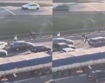 Caos en Panamericana: dos conductores se agarraron a las piñas en plena autopista