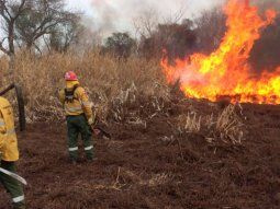 Incendios forestales&nbsp;