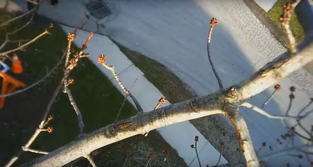 Puede salir mal: mirá 4 accidentes espectaculares de drones