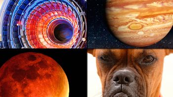 ¿que avances cientificos pueden esperarse en 2016? ¿que avances cientificos pueden esperarse en 2016?