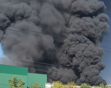 El Tren Sarmiento interrumpió el ramal Moreno-Mercedes por el incendio en Francisco Álvarez