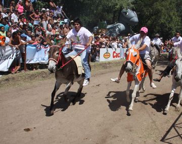 Gran victoria de Despreciado en el Rally Mundial de Burros