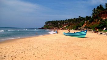 una mujer es desmembrada por 100 perros callejeros en una playa de india