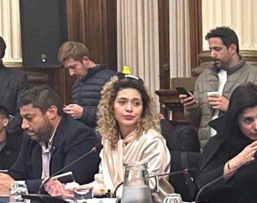 Revuelo con la diputada libertaria que fue a una sesión con el patito de moda en su cabeza