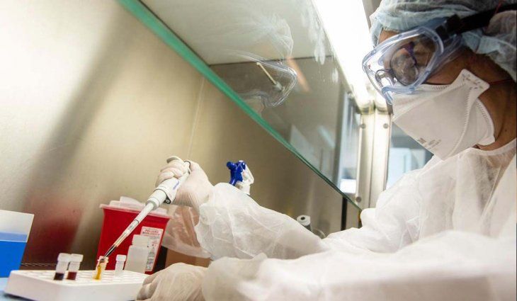 Perú: buscan identificar si existe una cepa andina del nuevo coronavirus