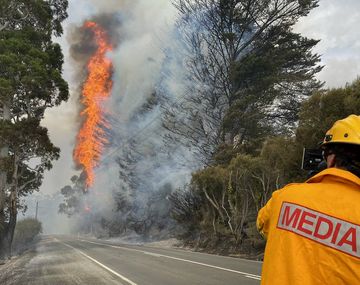 Incendios en Australia: luchan para salvar a los animales atrapados por el fuego