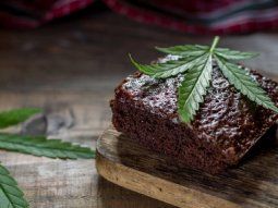 Córdoba: estudiantes llevaron brownies con marihuana a la escuela y terminaron intoxicados. Córdoba: estudiantes llevaron brownies con marihuana a la escuela y terminaron intoxicados.
