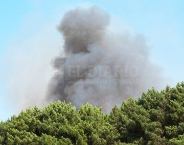 Miramar: combaten un incendio en el vivero municipal