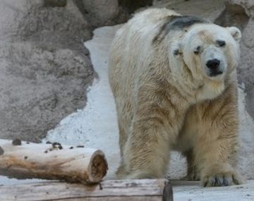 Foto: gentileza El Sol