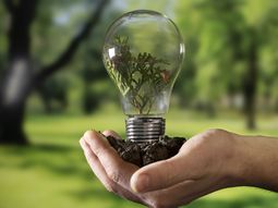 El gobierno avanza con medidas para promover la eficiencia energética. El gobierno avanza con medidas para promover la eficiencia energética.