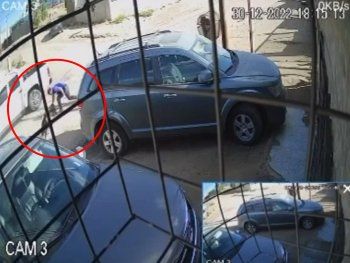 Mató a cuchillazos a un pitbull que había atacado a su hijo