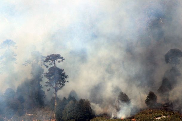 Los incendios ya arrasaron más de 11 mil hectáreas en Chile