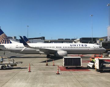 Un perro murió en pleno vuelo porque lo hicieron viajar con el equipaje de mano