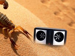Espanta alacranes, lo que se ofrece en la web