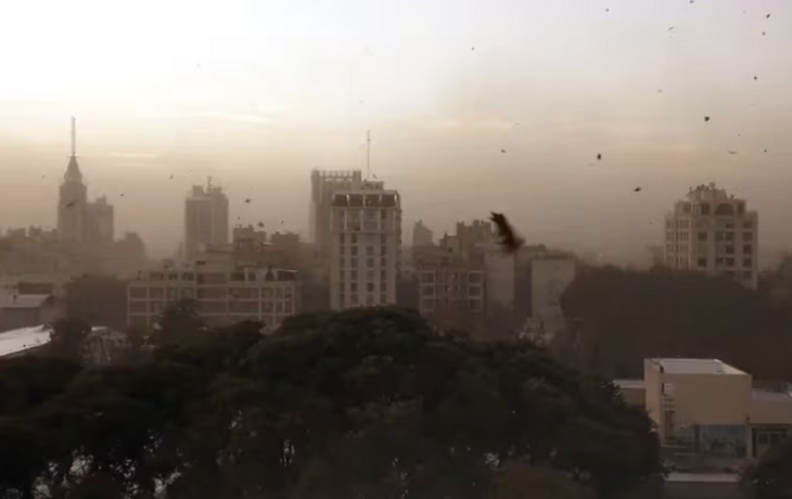 Último momento: SMN emite alerta amarilla para toda la zona del AMBA