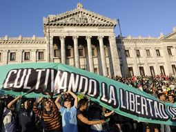 senador uruguayo considera un fracaso la guerra a las drogas senador uruguayo considera un fracaso la guerra a las drogas