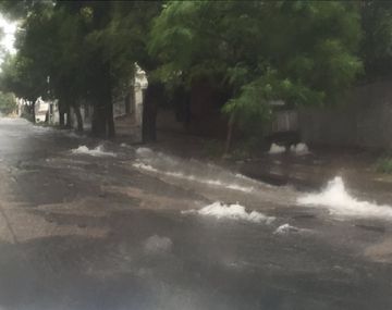 Gentileza: Twitter @adbustos