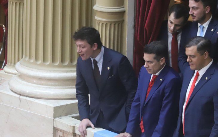 Quién le pegó a Facundo Manes en el Congreso