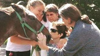 video: la emotiva despedida entre una mujer con cancer y su caballo video: la emotiva despedida entre una mujer con cancer y su caballo