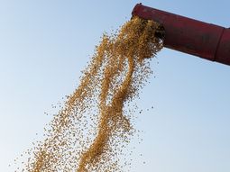 Las exportaciones de soja no llegarían ni a un 20% de las del año pasado. Las exportaciones de soja no llegarían ni a un 20% de las del año pasado.