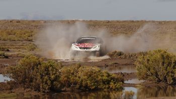 Loeb quedó primero tras las primeras 8 etapas Loeb quedó primero tras las primeras 8 etapas