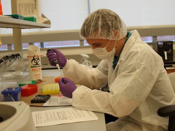 Coronavirus: confirman que los monos contagiados desarrollaron inmunidad