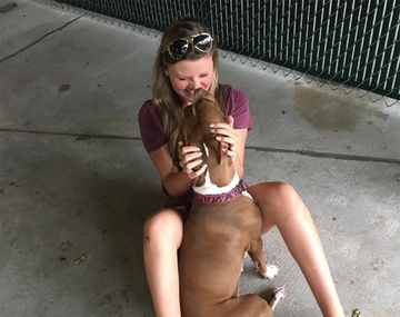 Récord de adopciones en un refugio de perros de Estados Unidos por el aislamiento