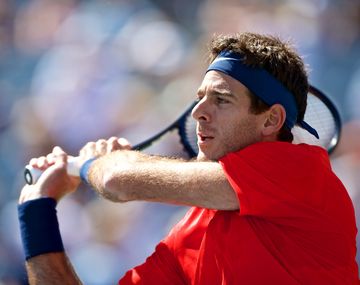Del Potro reaccionó y se quedó con un gran triunfo ante Tomas Berdych en Cincinnati