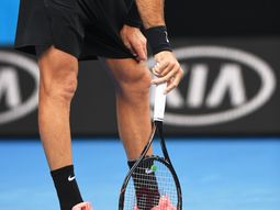 del potro perdio ante berdych y se despidio del abierto de australia del potro perdio ante berdych y se despidio del abierto de australia