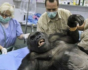 Los mejores memes por el control de cambios