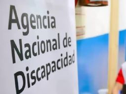 el gobierno atribuyo a un error el uso de imbecil, idiota y debil mental en una resolucion oficial