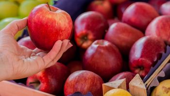 El precio mayorista del kilo de manzana roja se mantuvo sin variación durante el mes de noviembre. El precio mayorista del kilo de manzana roja se mantuvo sin variación durante el mes de noviembre.