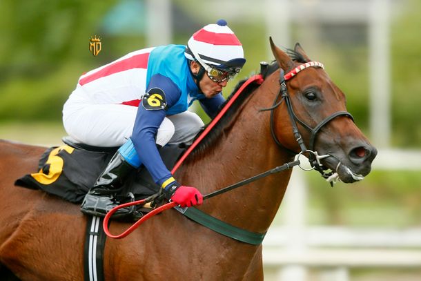 Paradoja: Despacito fue el más rápido