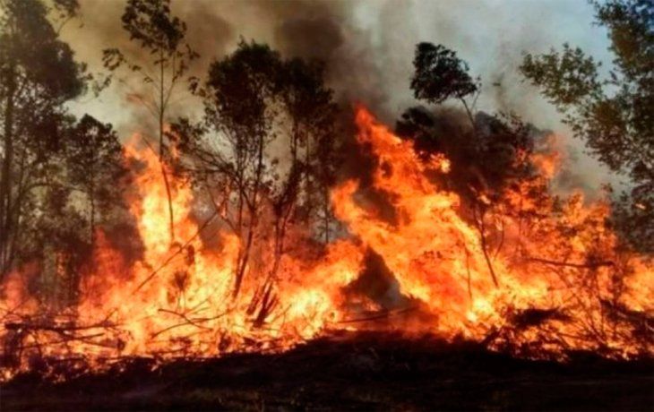 Los incendios en Corrientes alcanzaron el ingreso a los Esteros del Iberá