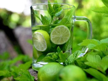 Esta hierba se encarga reducir de peso y presenta propiedades medicinales favorables para el cuerpo.&nbsp;